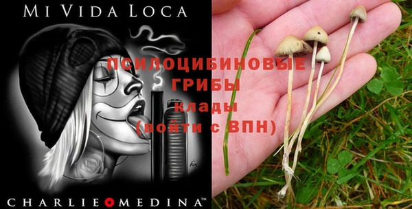 спиды Каменск-Шахтинский