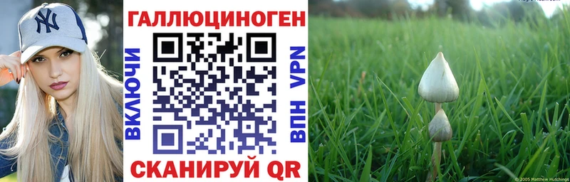 ссылка на мегу ссылка Горнозаводск Галлюциногенные грибы Psilocybe